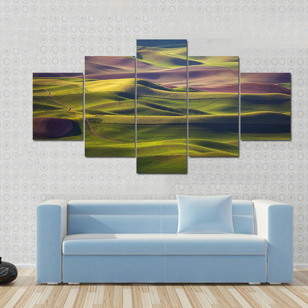 Palouse Rolling Hills at Golden Hour Canvas Wall Art