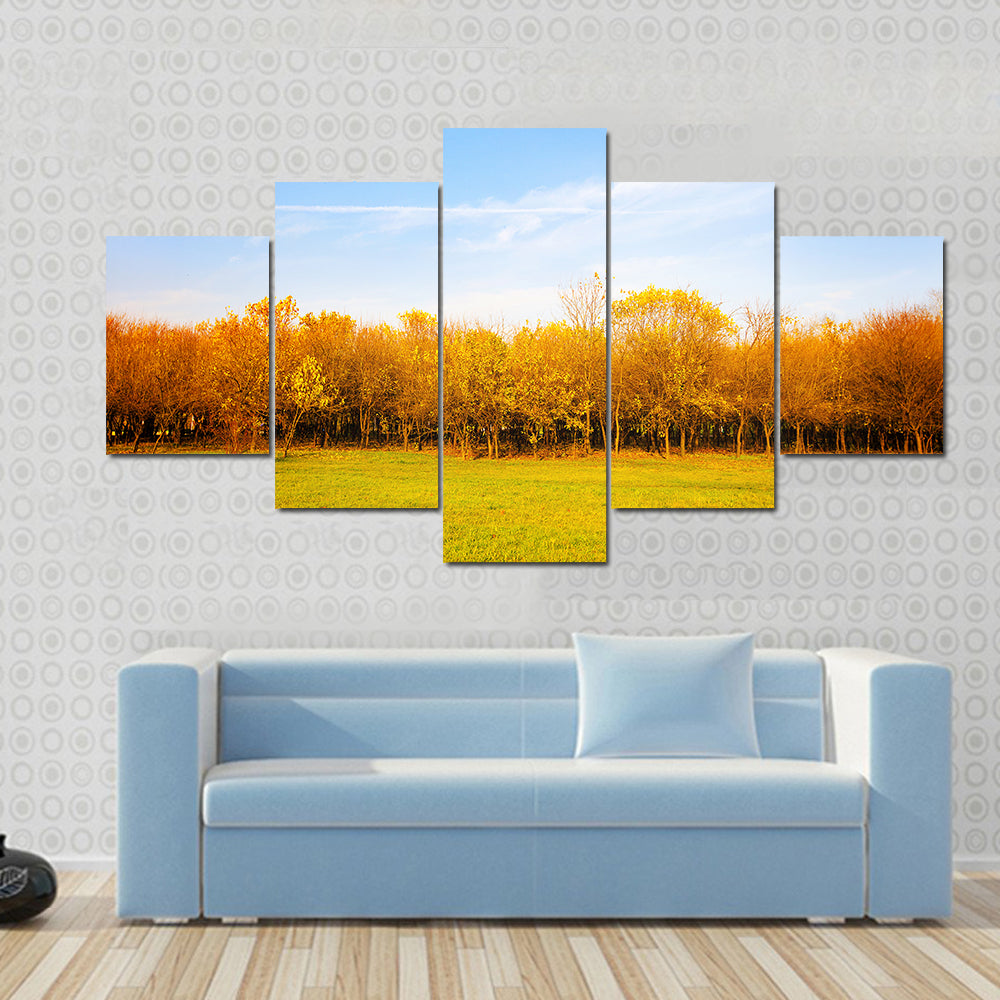 Autumn Meadow with Golden Leaves Canvas Wall Art