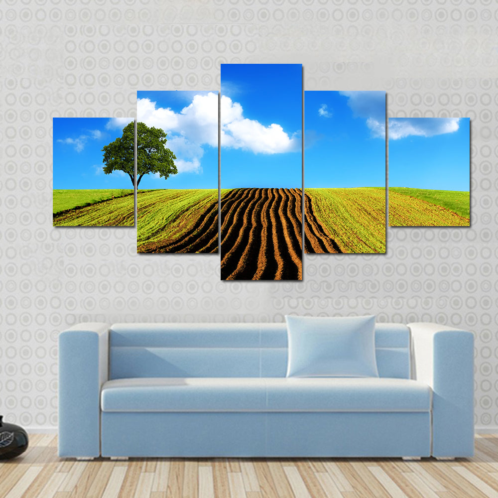 Ploughed Field with Lone Tree Canvas Wall Art