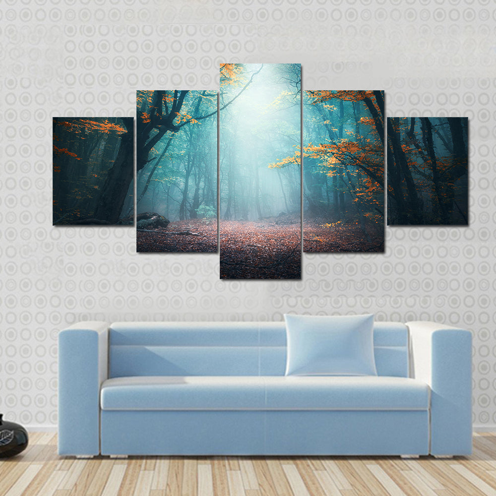 Mystical Forest in Autumn Canvas Wall Art