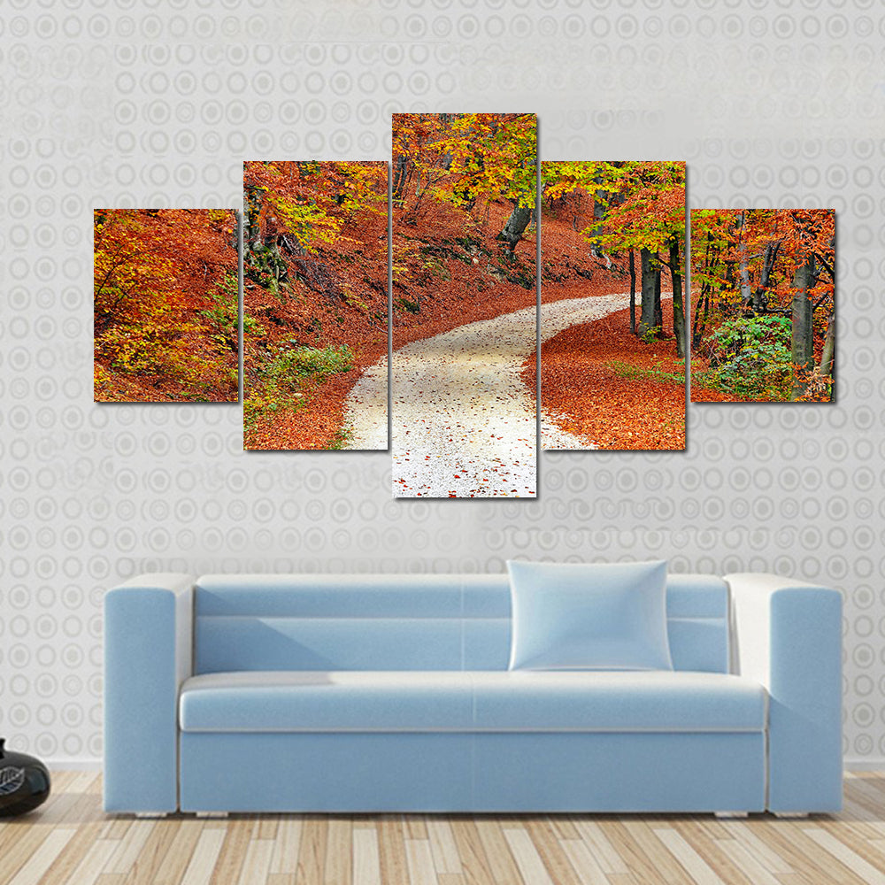 Autumn Misty Forest In Fall Canvas Wall Art