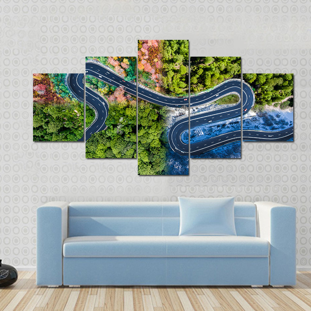 Highway Through The Forest Canvas Wall Art