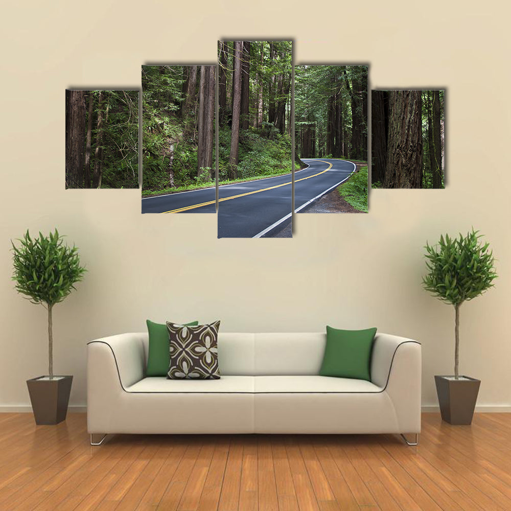 Redwoods Forest In California Canvas Wall Art