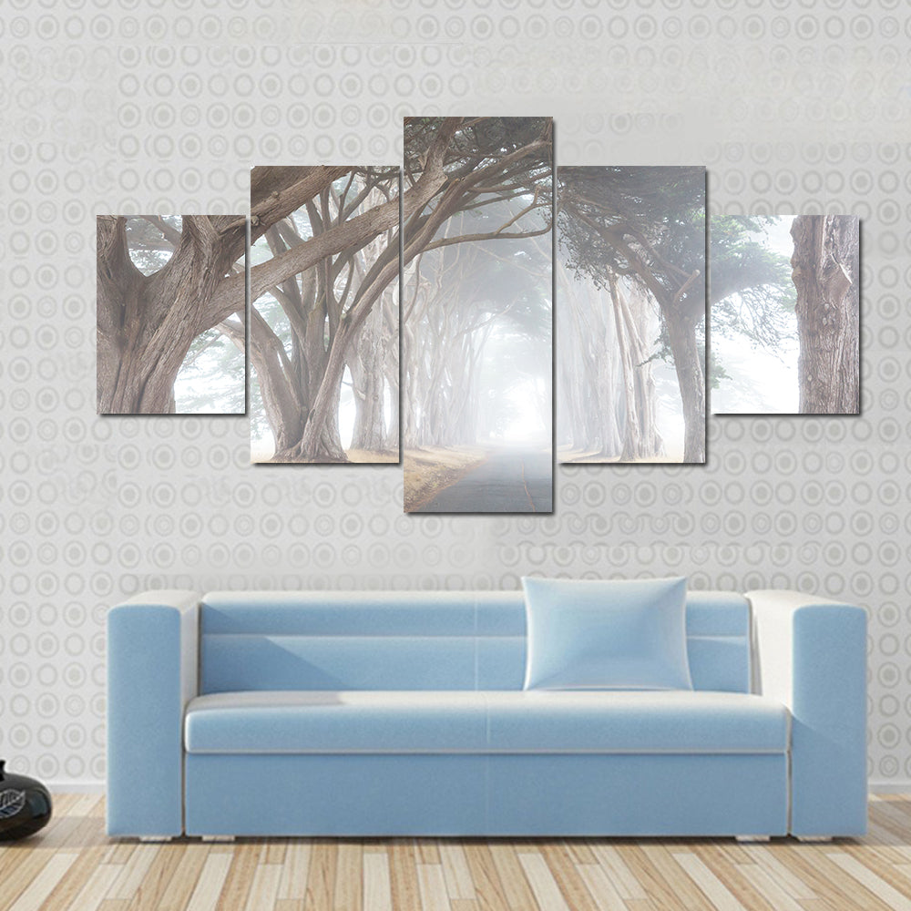 Misty Trees Alley In Foggy Weather Canvas Wall Art