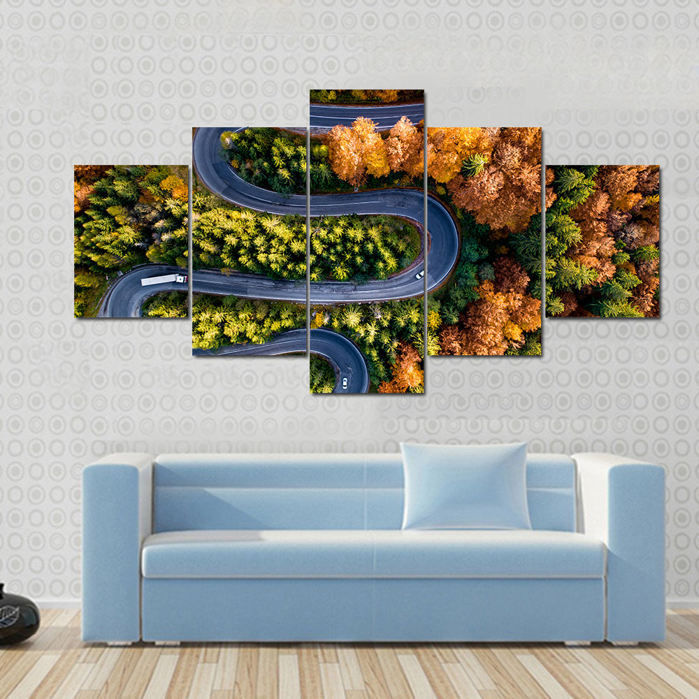 Winding Forest Road From Top Canvas Wall Art