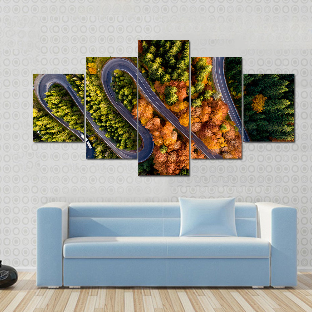 Serpentine Asphalt Road Canvas Wall Art