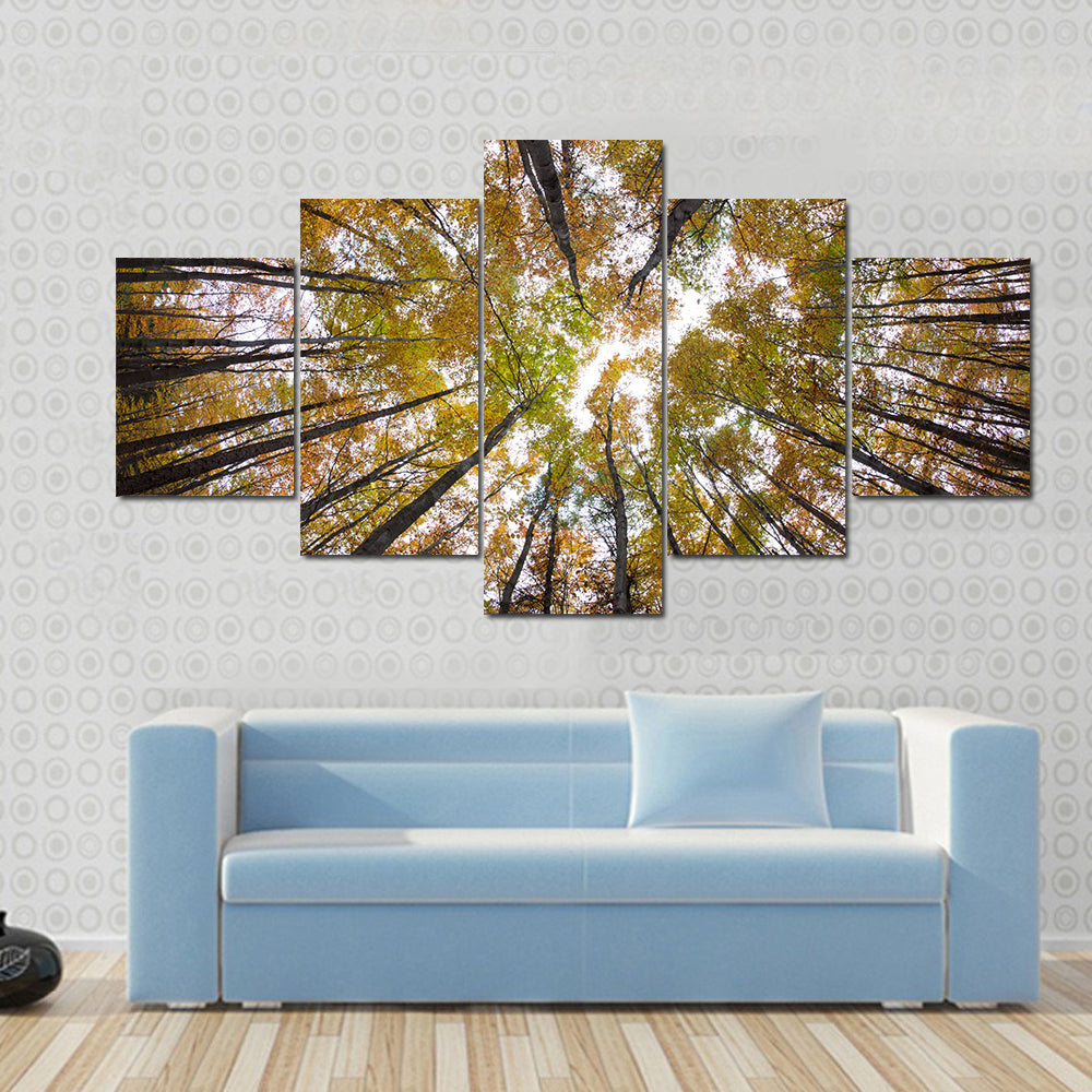 Autumn Forest Treetops Canvas Wall Art