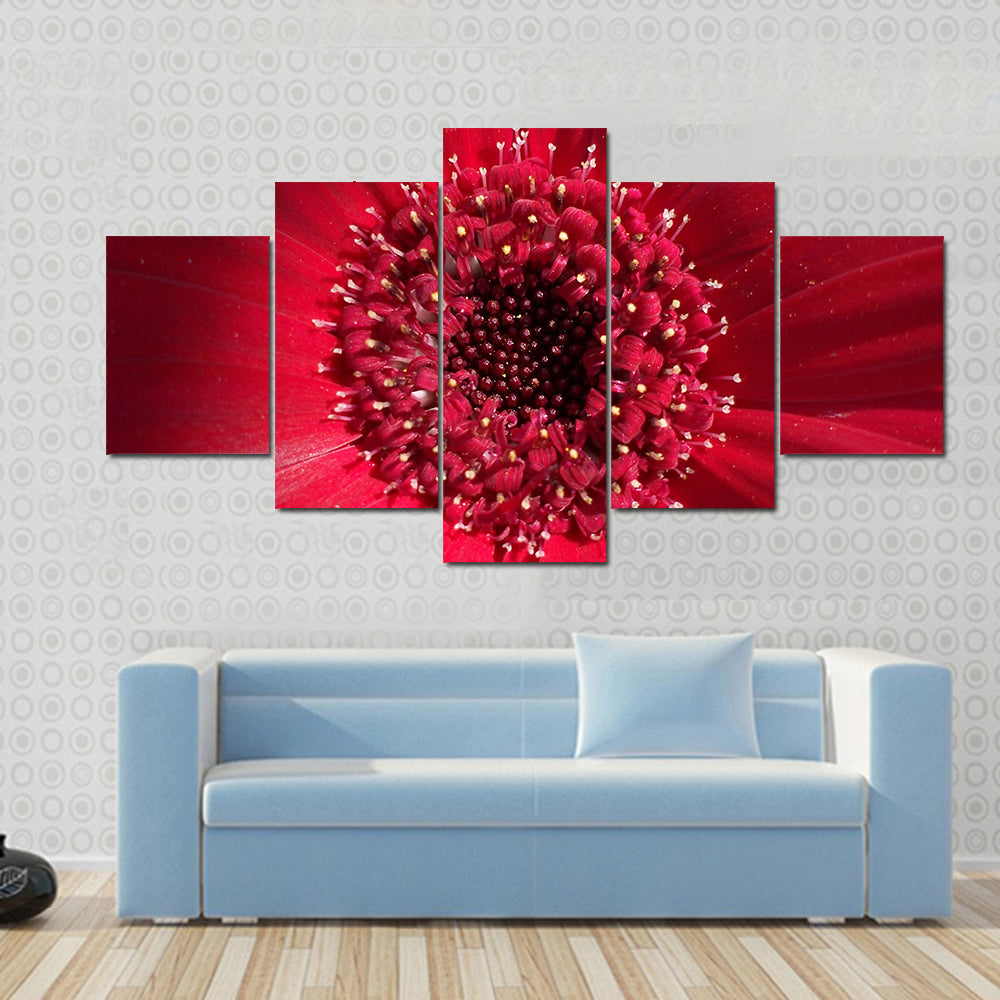 Red Gerbera Daisy Center Canvas Wall Art