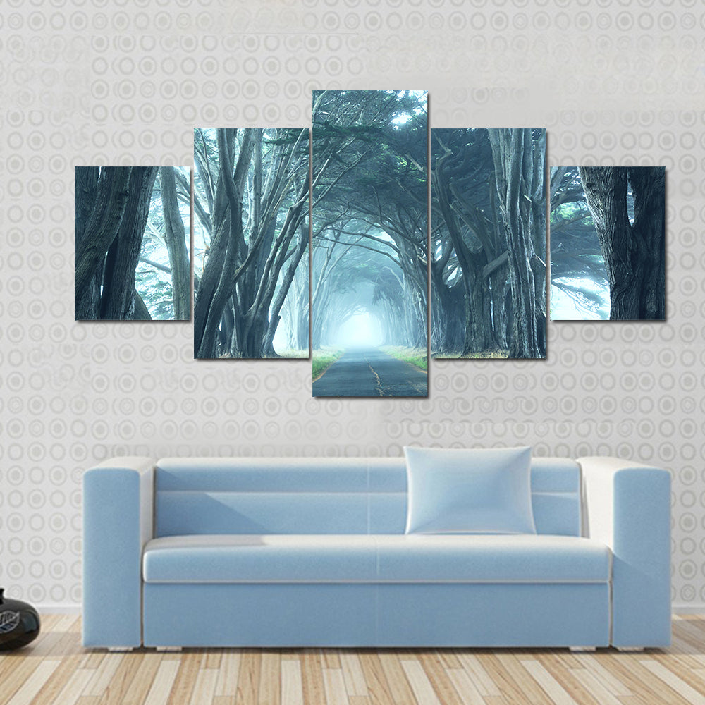 Misty Trees Alley In Foggy Weather Canvas Wall Art