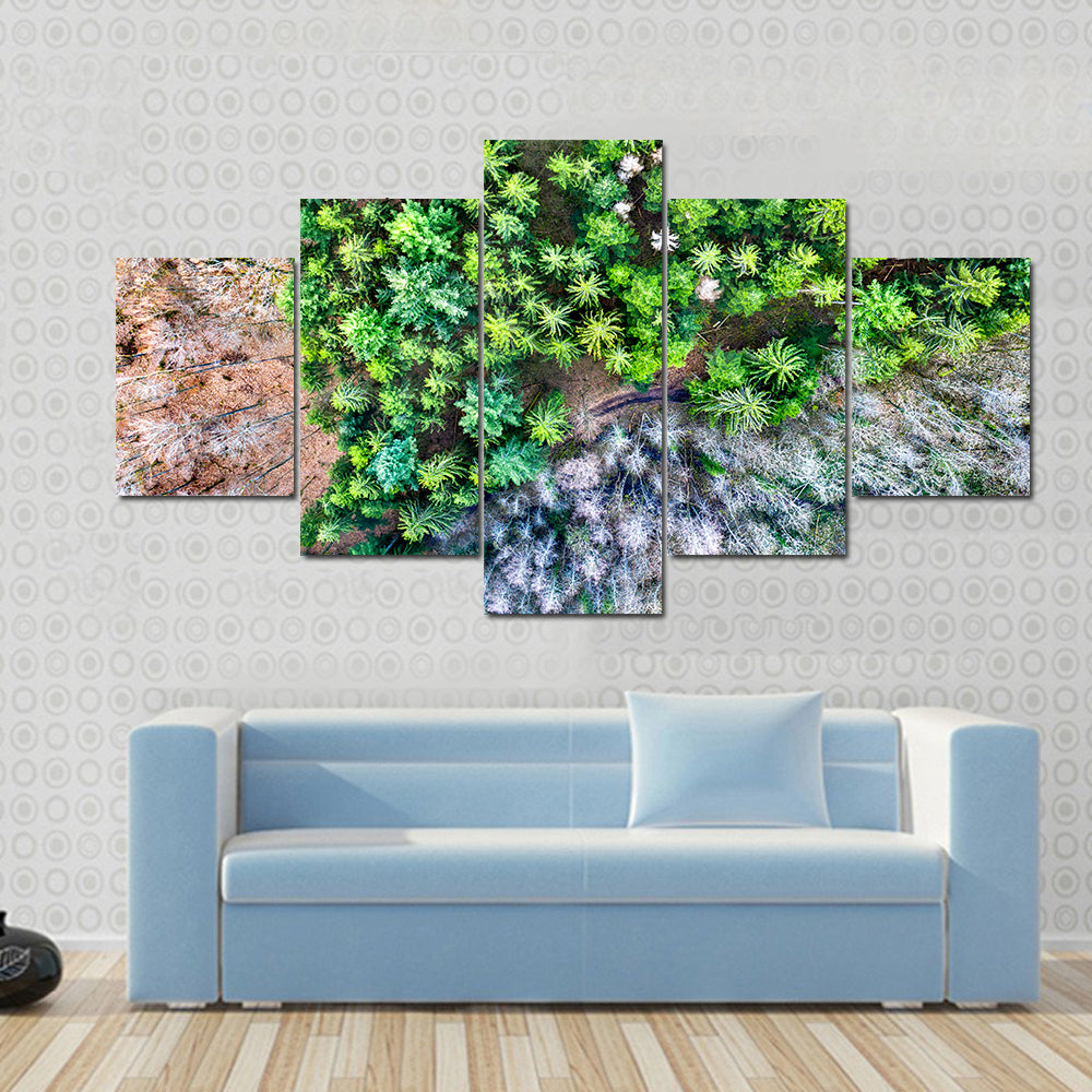 Aerial View Of Trees In The Vosges Mountains In Alsace France Canvas Wall Art