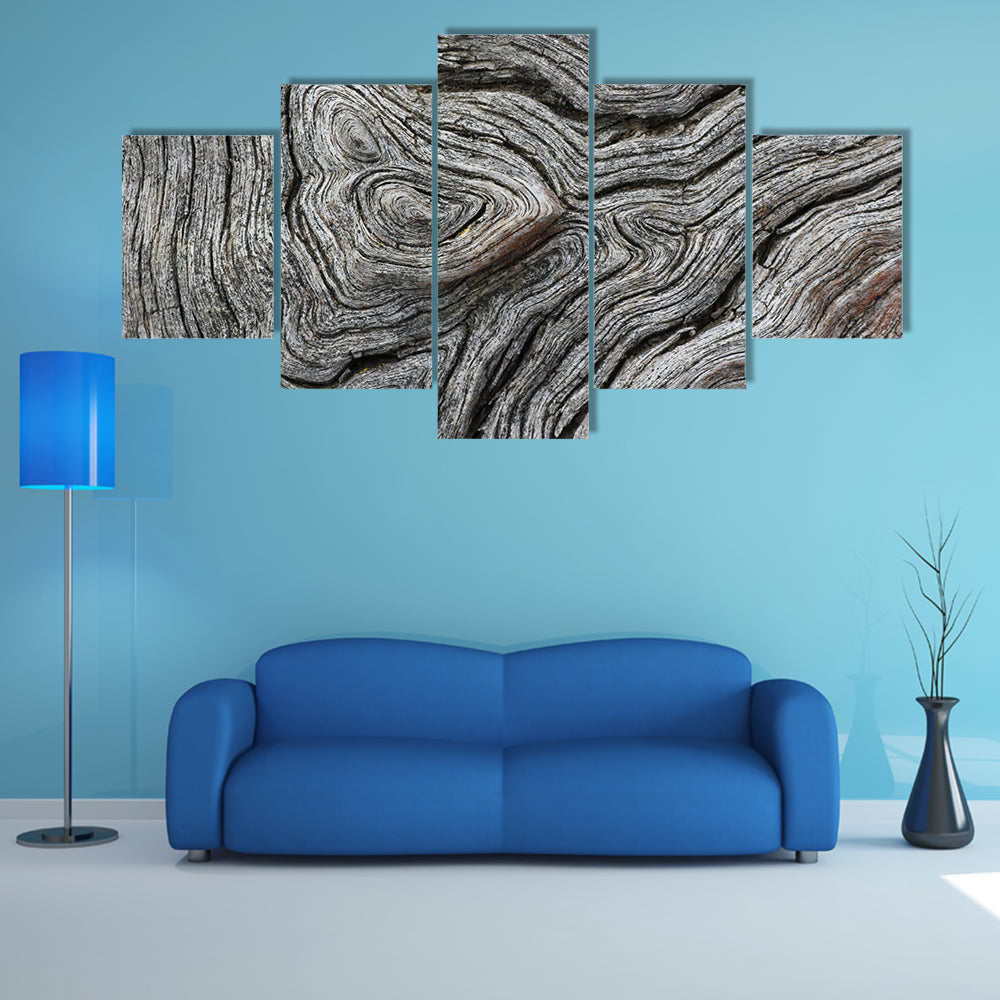 Weathered Wood Grain Macro Canvas Wall Art