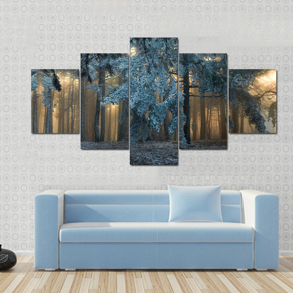 Fog In The forest In Uludag Turkey Canvas Wall Art
