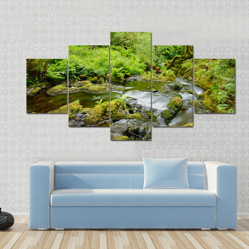 Dolgoch Falls In Wales UK Canvas Wall Art