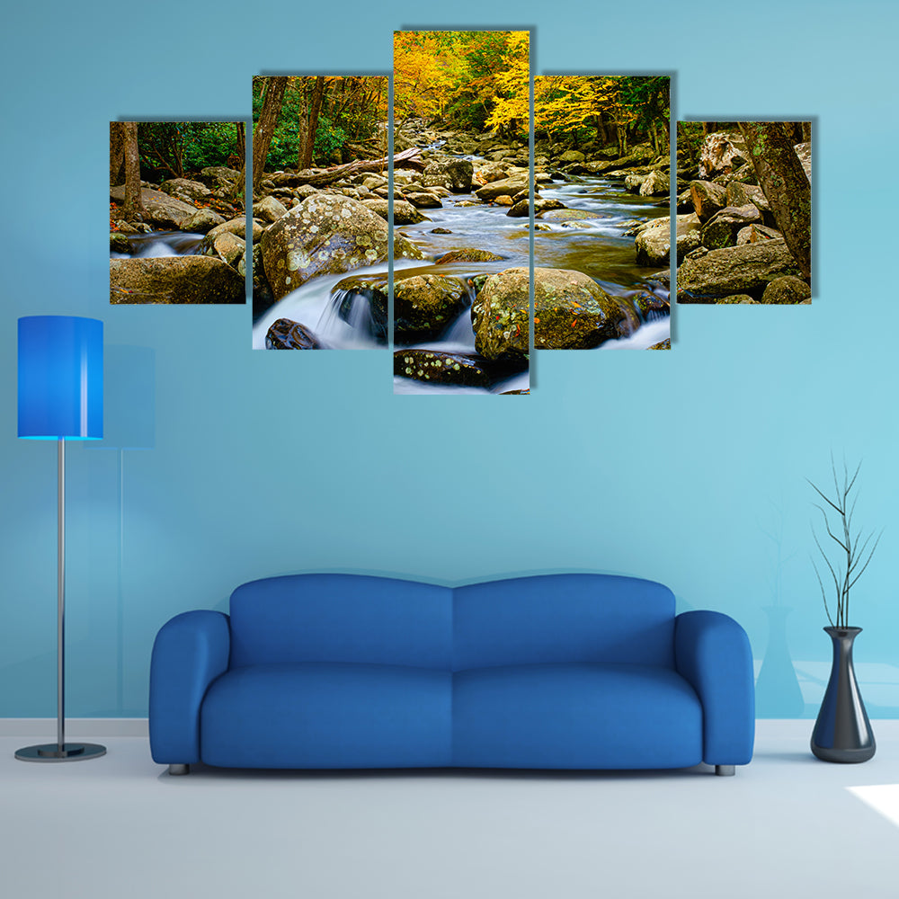 Rushing Stream in Great Smokey Mountains Canvas Wall Art