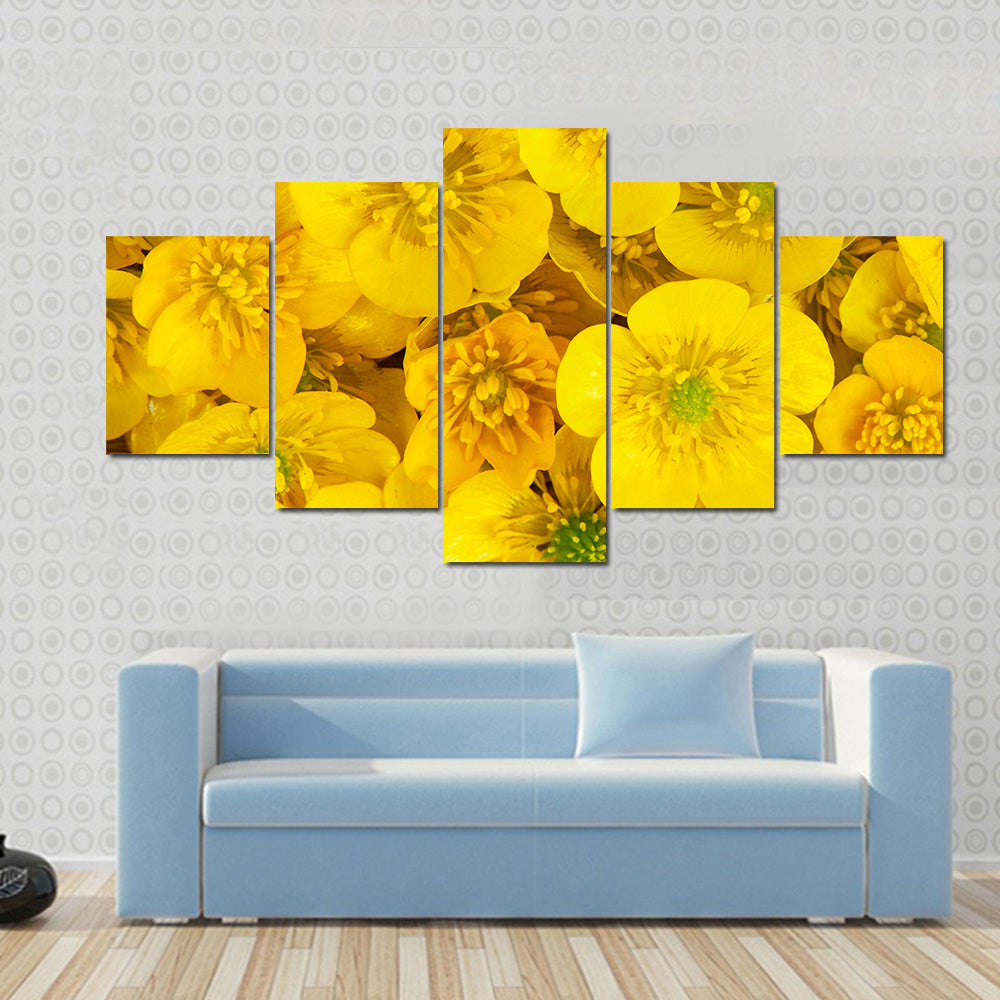 Yellow Wild Buttercups Canvas Wall Art