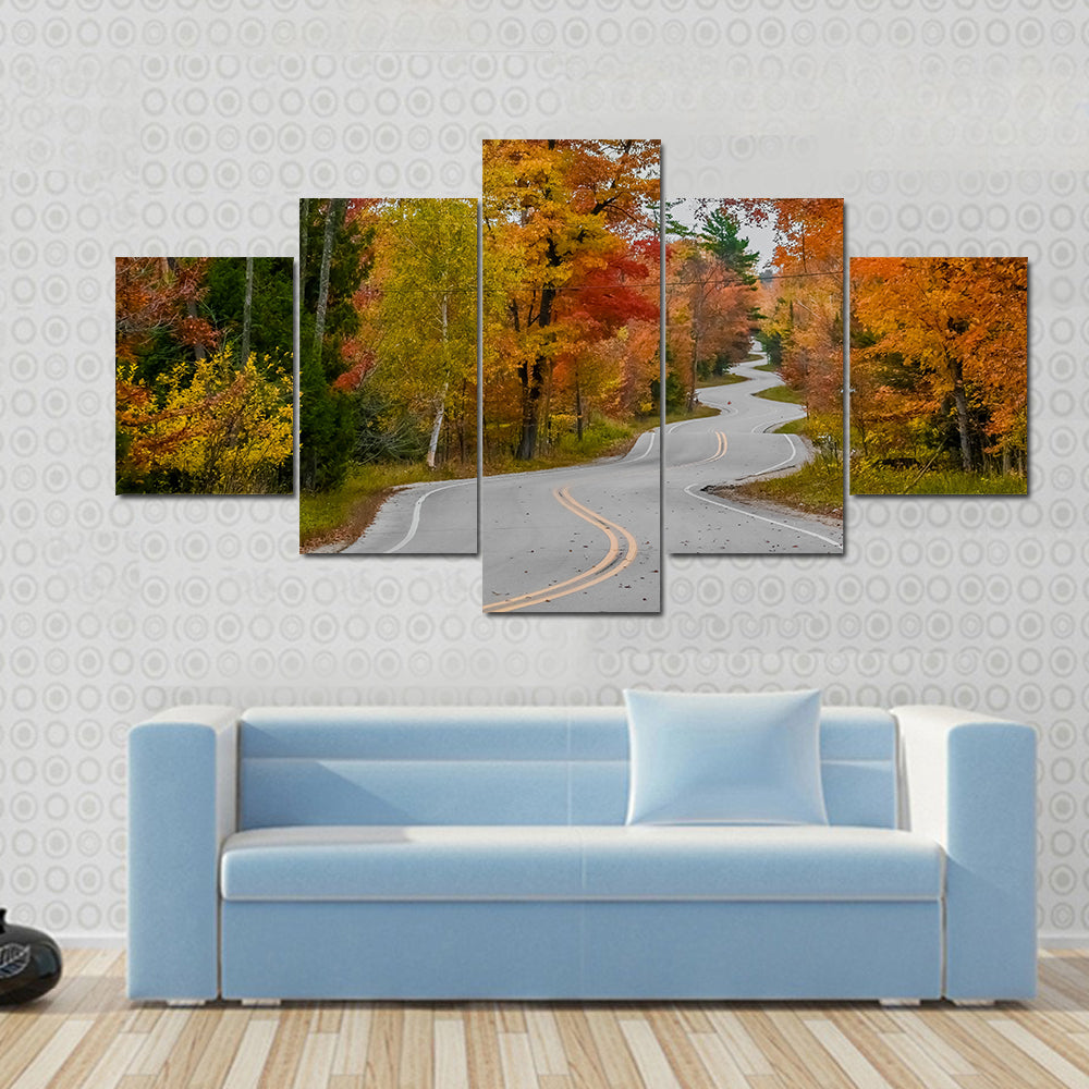 Winding Road In Wisconsin Canvas Wall Art