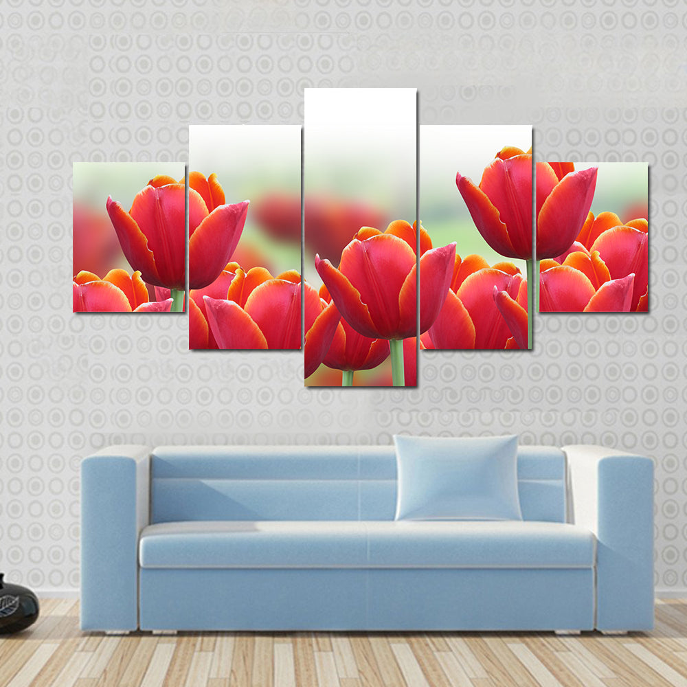 Spring Tulip Flower Canvas Wall Art