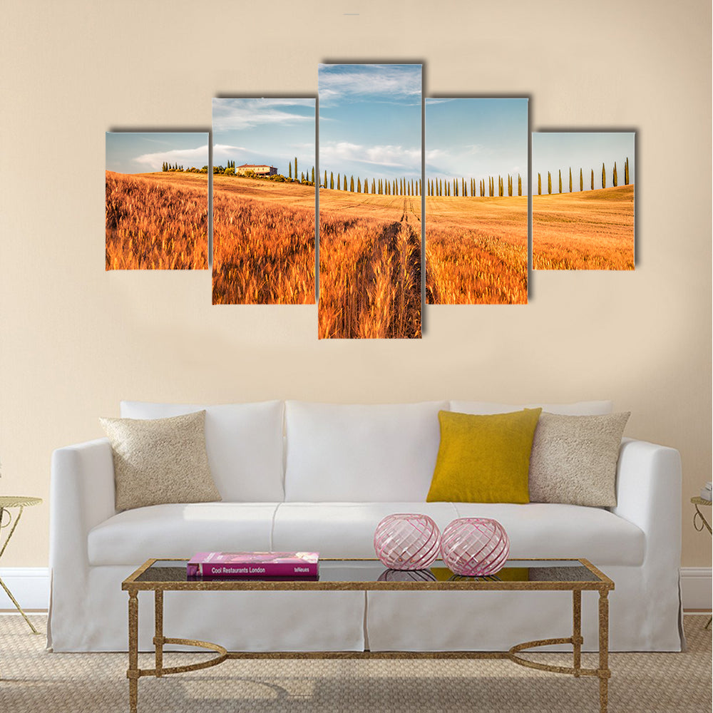 Wheat Field In Tuscany Canvas Wall Art