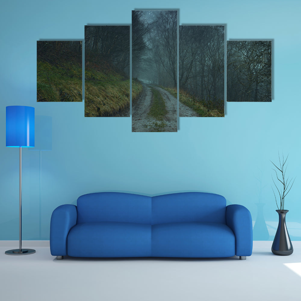 Foggy Forest Path Under Starry Sky Canvas Wall Art