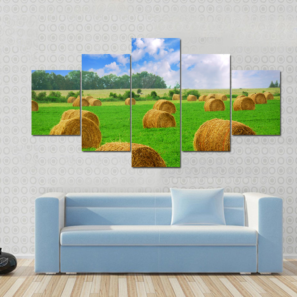 Hay Bales in a Field Canvas Wall Art
