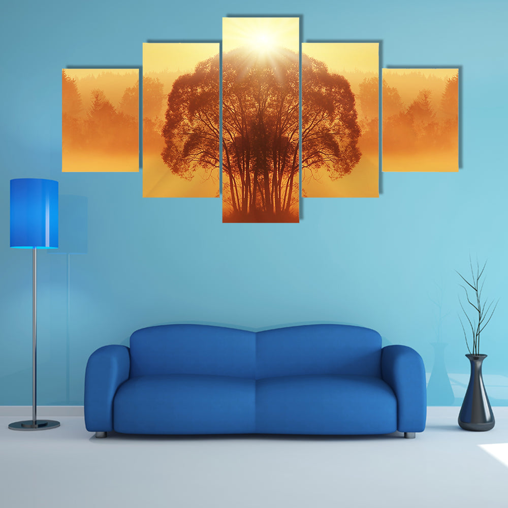 Lone Tree in Golden Morning Mist Canvas Wall Art