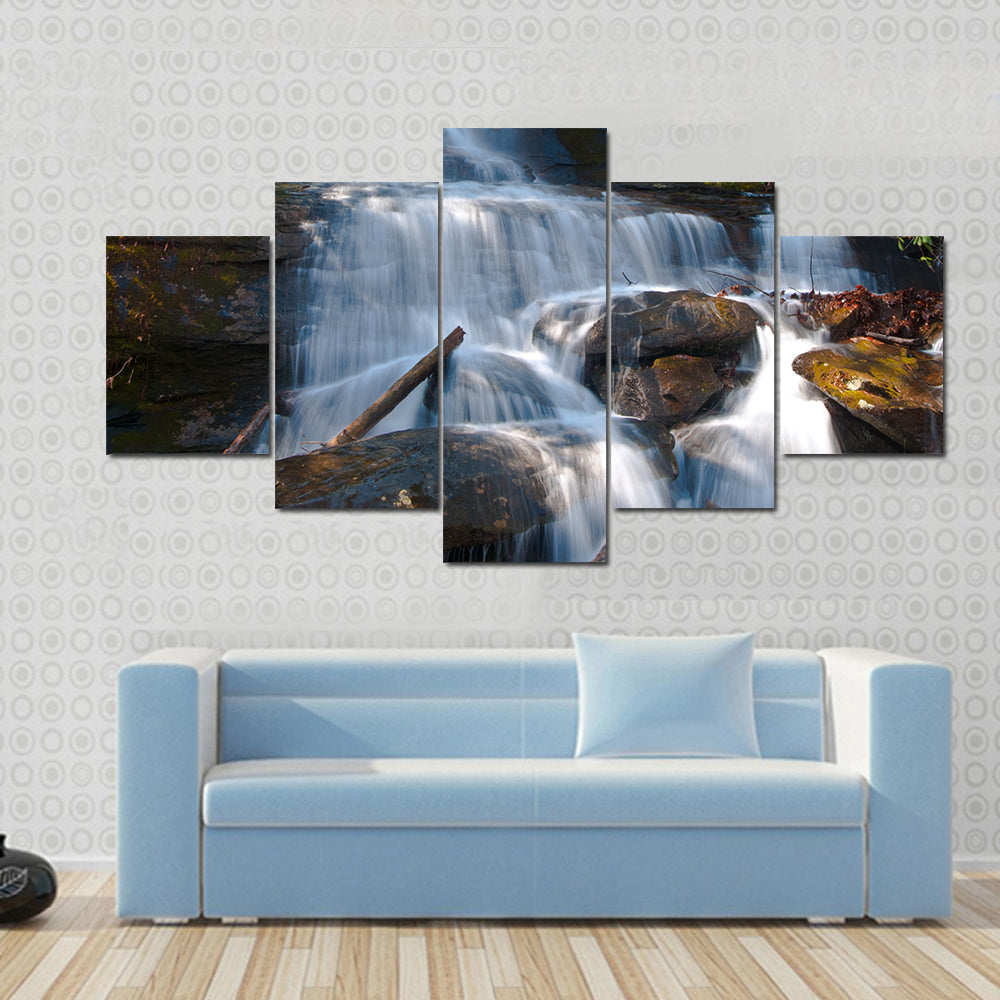 Desoto Falls, Georgia Canvas Wall Art