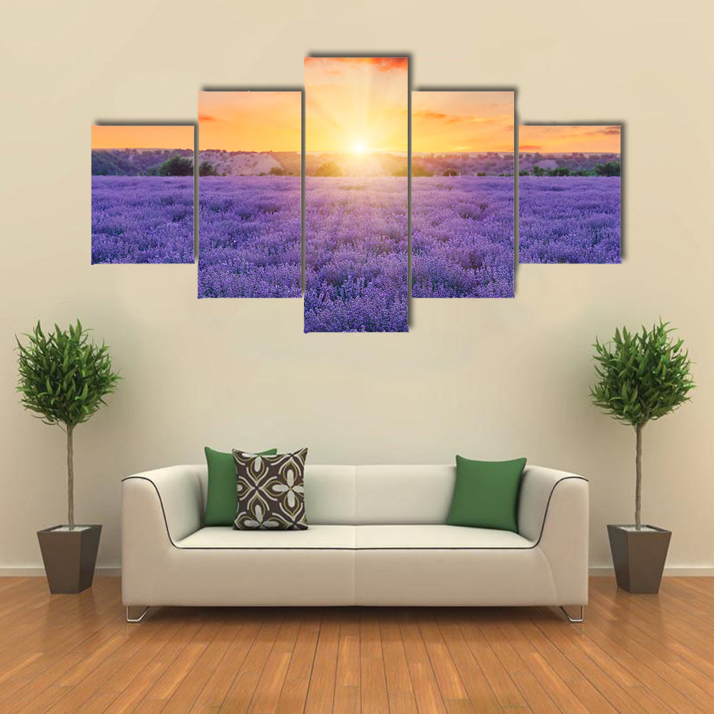 Lavender Fields At Sunset Canvas Wall Art