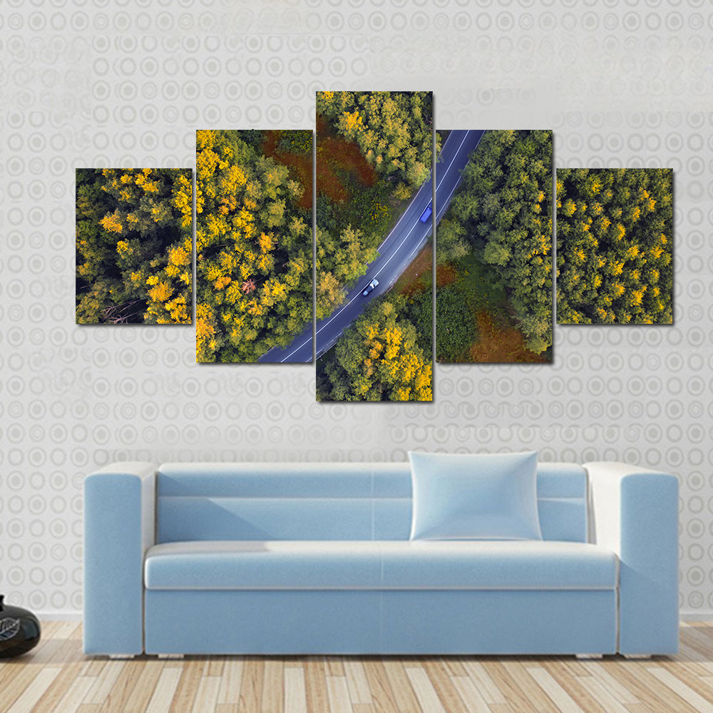 Travel Through Forest Canvas Wall Art