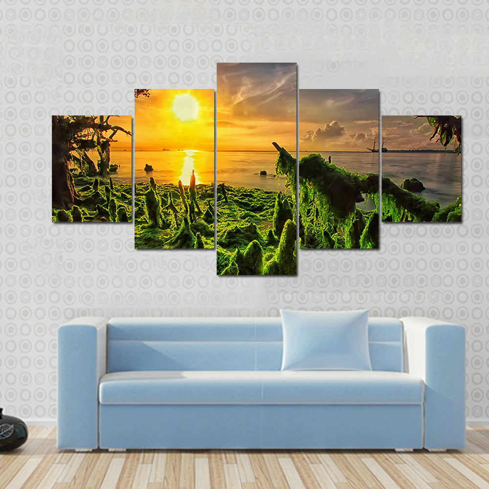 Moss-covered Mangrove Roots at Sunset Canvas Wall Art