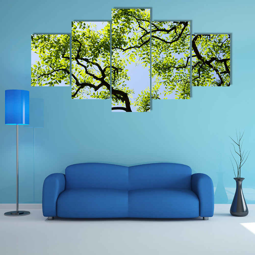Tree Canopy with Bright Blue Sky Canvas Wall Art