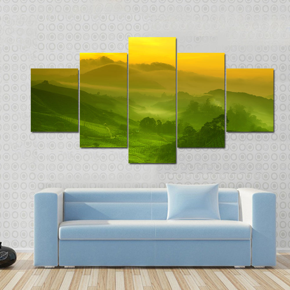 Tea Plantation In Cameron Highland At Sunrise Canvas Wall Art