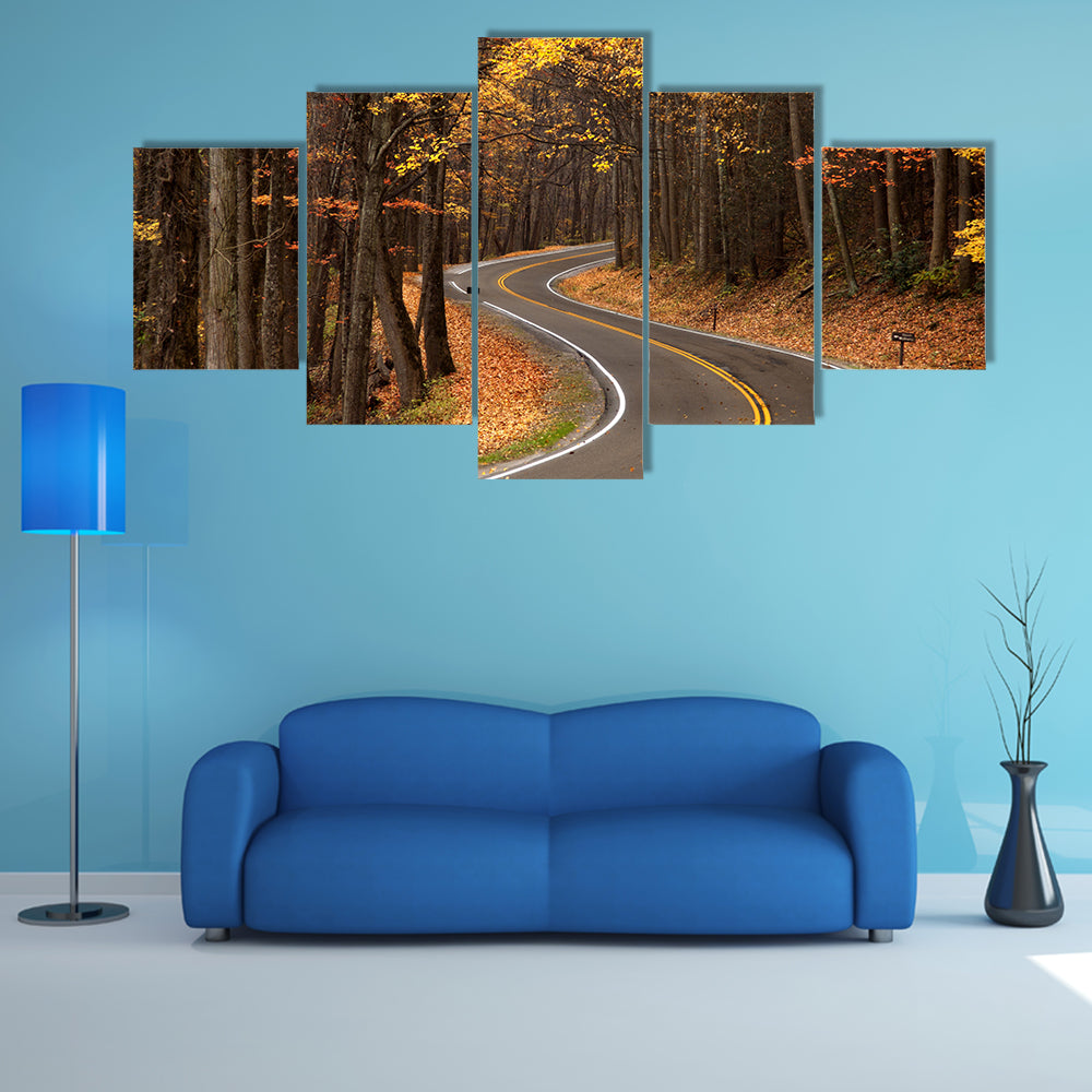 S-curve Road in Great Smokey Mountains Canvas Wall Art