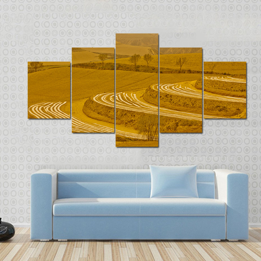 Loess Plateau Terraced Fields Canvas Wall Art