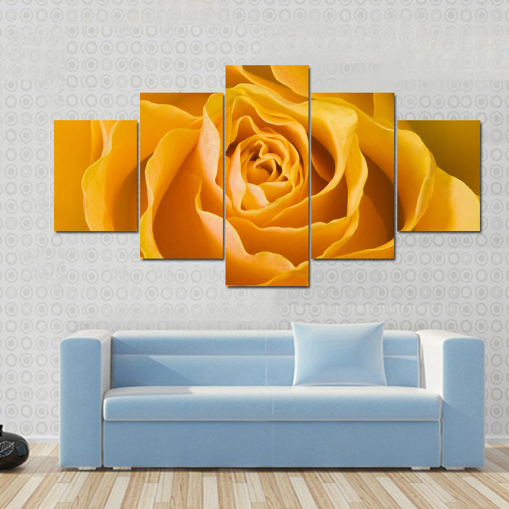 Close Up Of Rose Canvas Wall Art