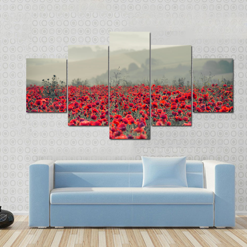 Field of Red Poppies Canvas Wall Art