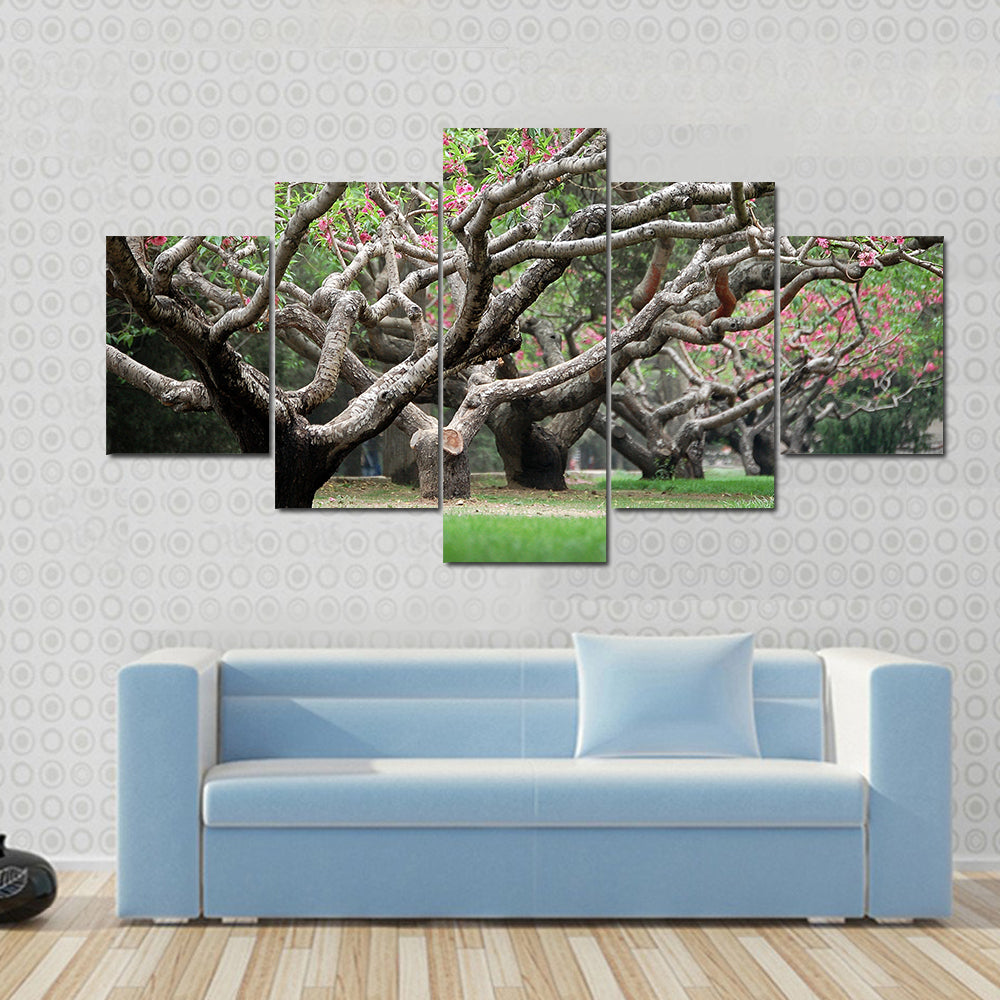 Peach Trees With Blooming Pink Flowers Canvas Wall Art