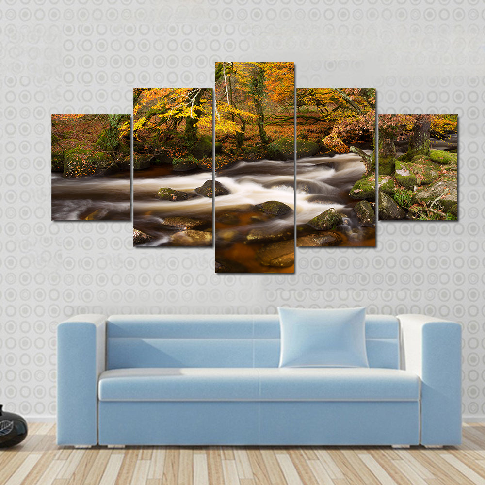 Autumn River in Dartmoor, Devon Canvas Wall Art