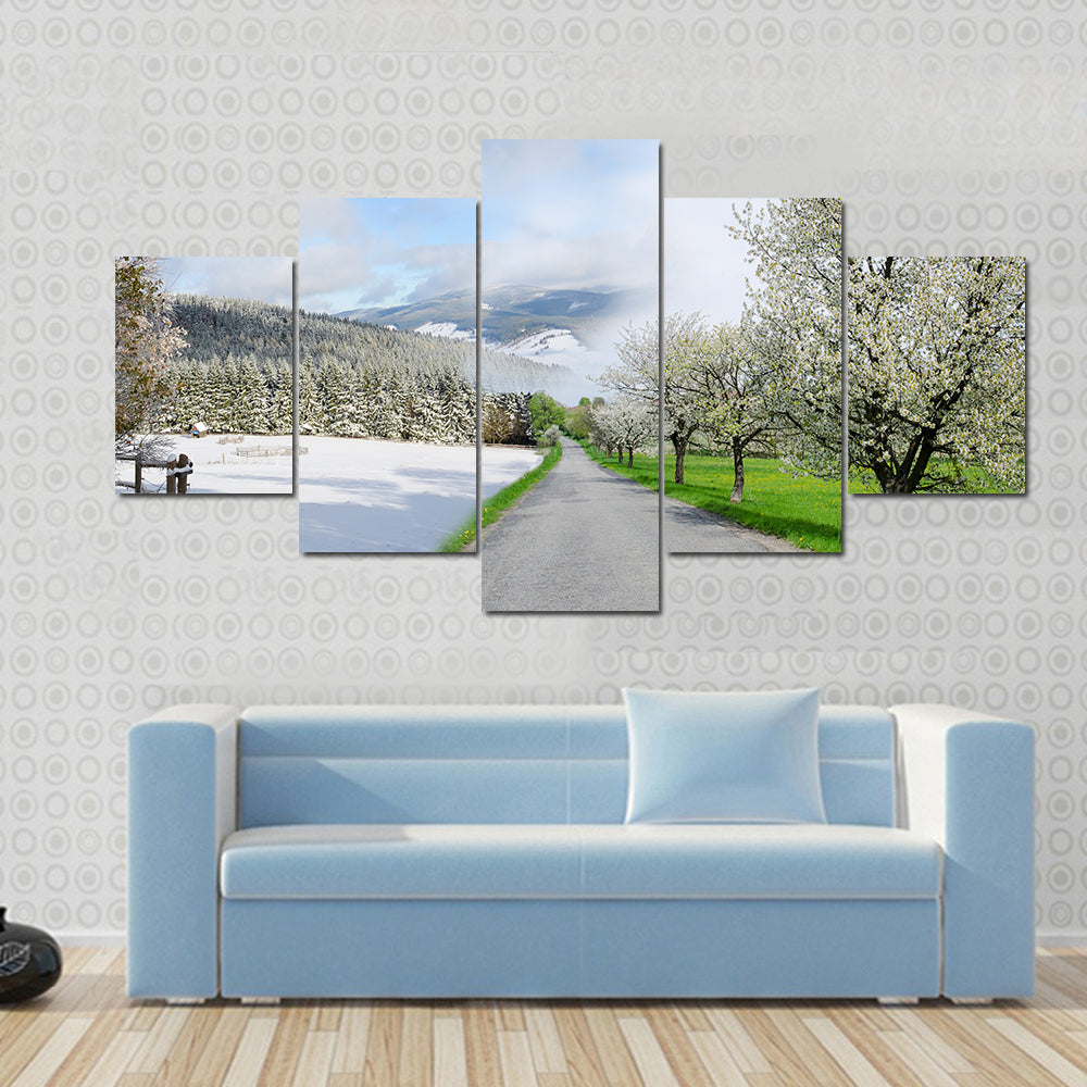 Road Between Winter and Spring Canvas Wall Art