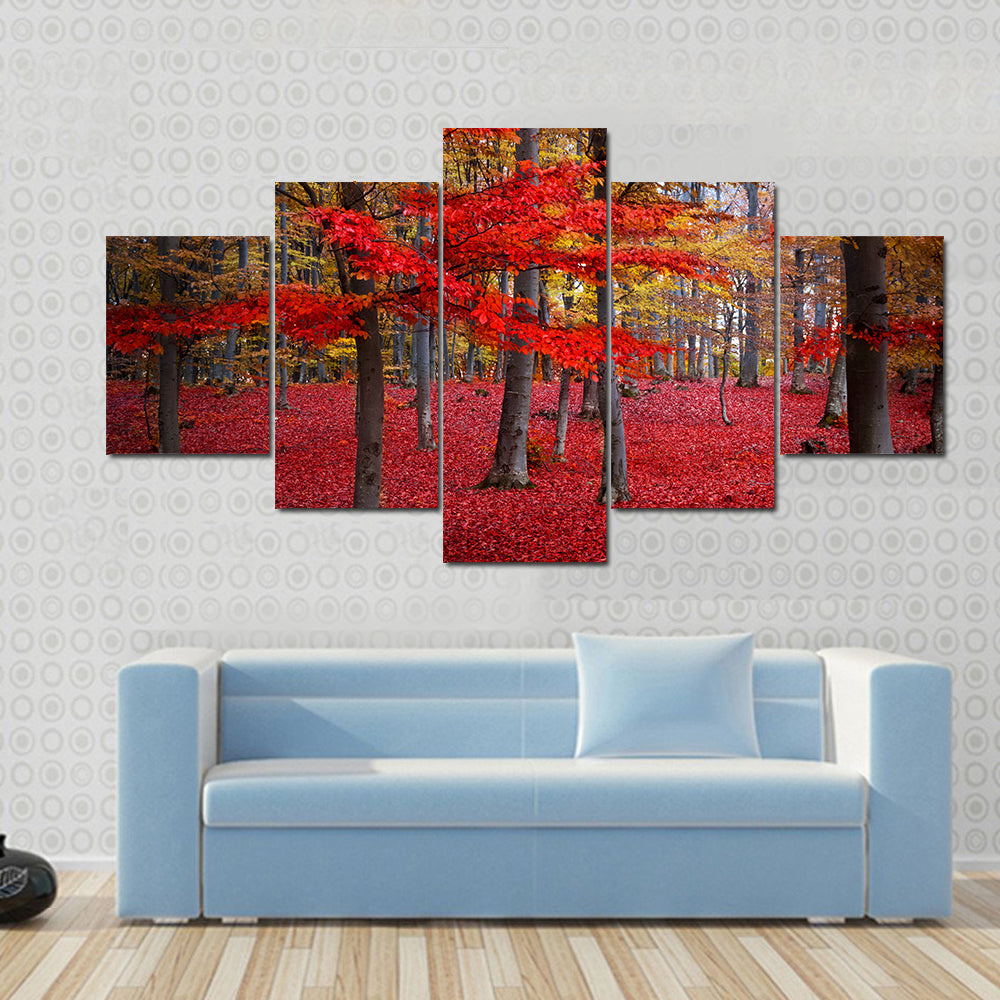 Red Trees In The Forest During Fall Canvas Wall Art