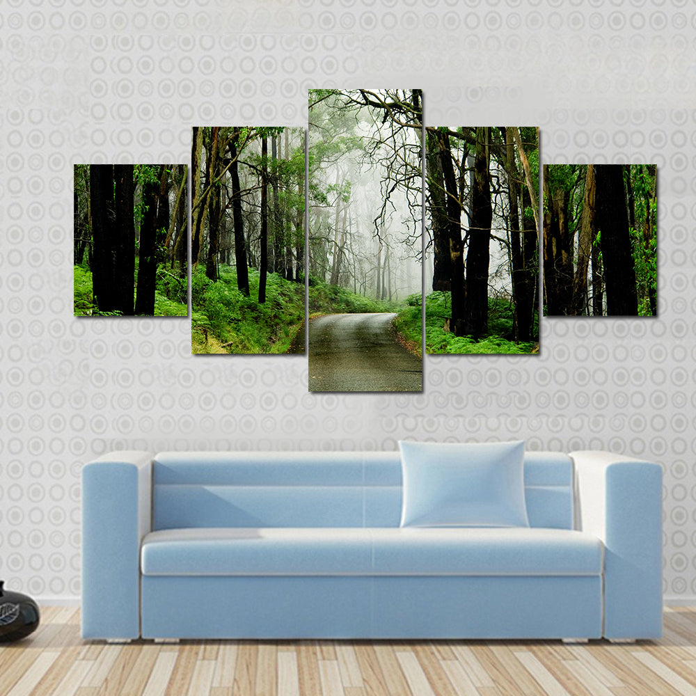 Forest Road With Fog Canvas Wall Art