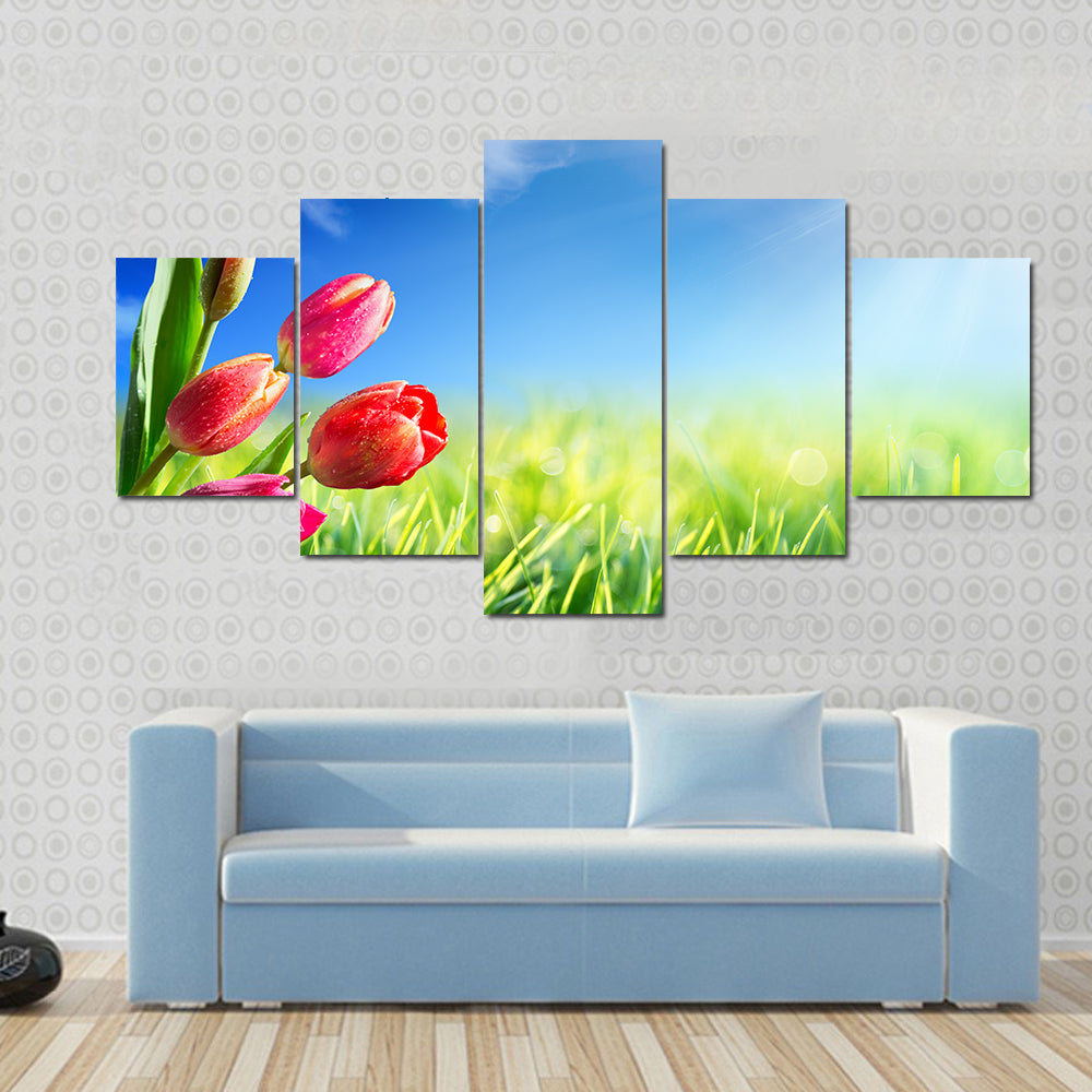 Sunny Spring Tulips in Meadow Canvas Wall Art