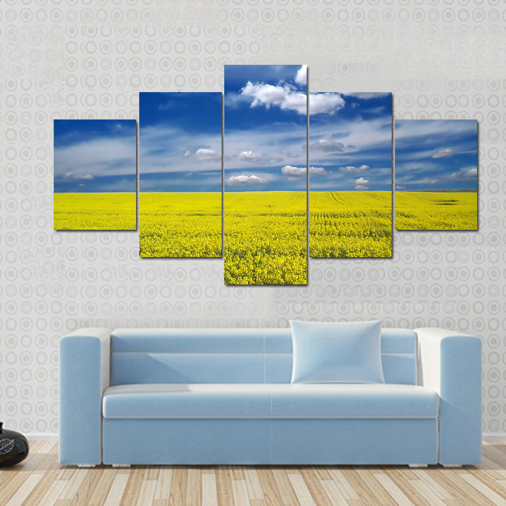 Golden Canola Field Canvas Wall Art