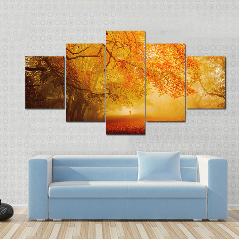 Seasonal Forest Fall Walk Canvas Wall Art