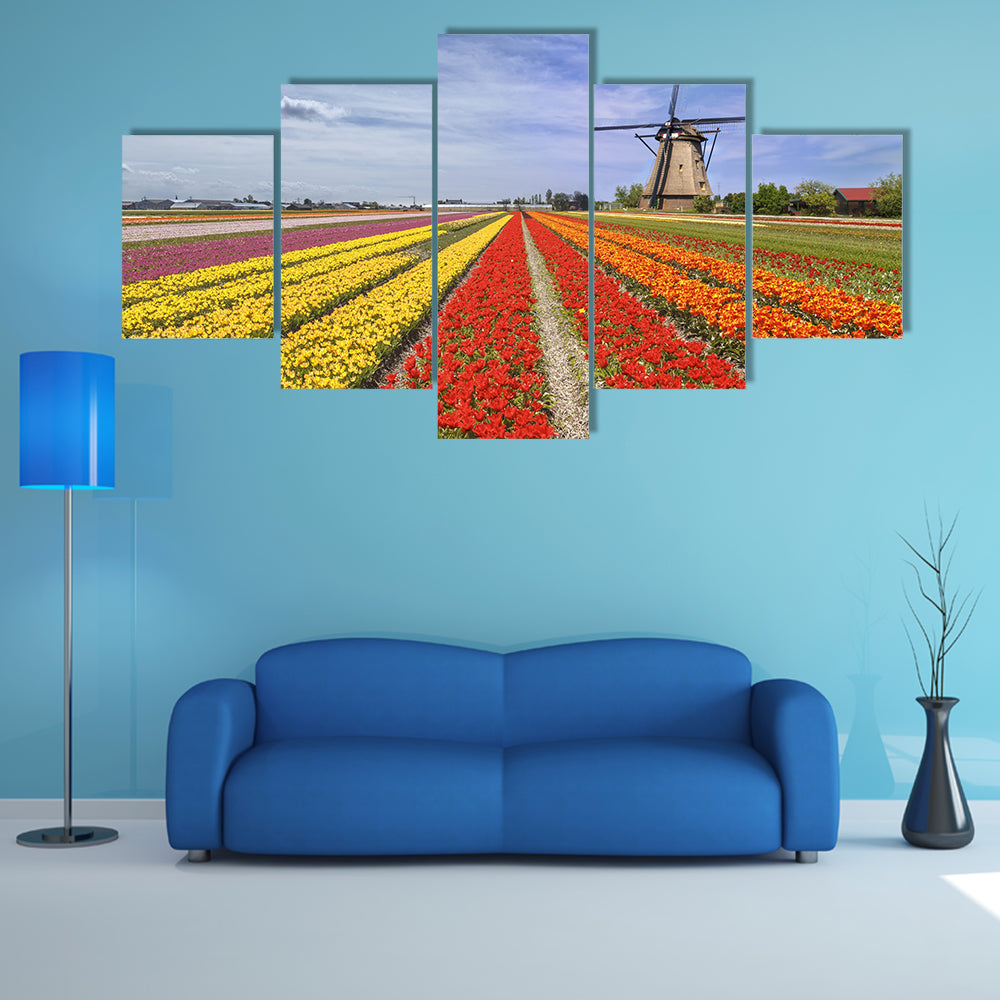 Colorful Dutch Tulip Fields with Windmill Canvas Wall Art