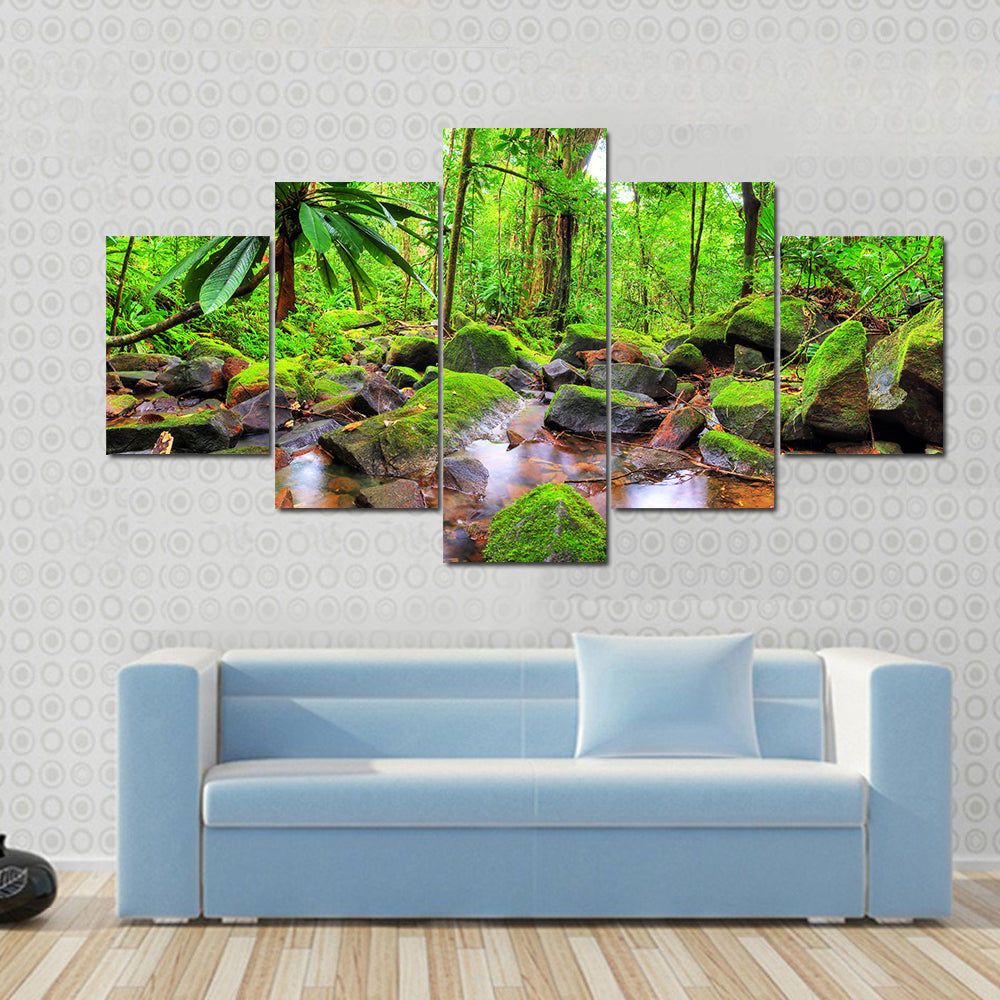Masoala National Park in Madagascar Canvas Wall Art