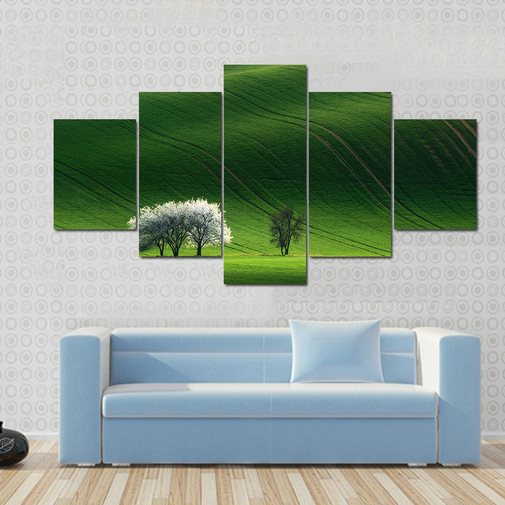 Moravian Green Rolling In Czech Republic Canvas Wall Art