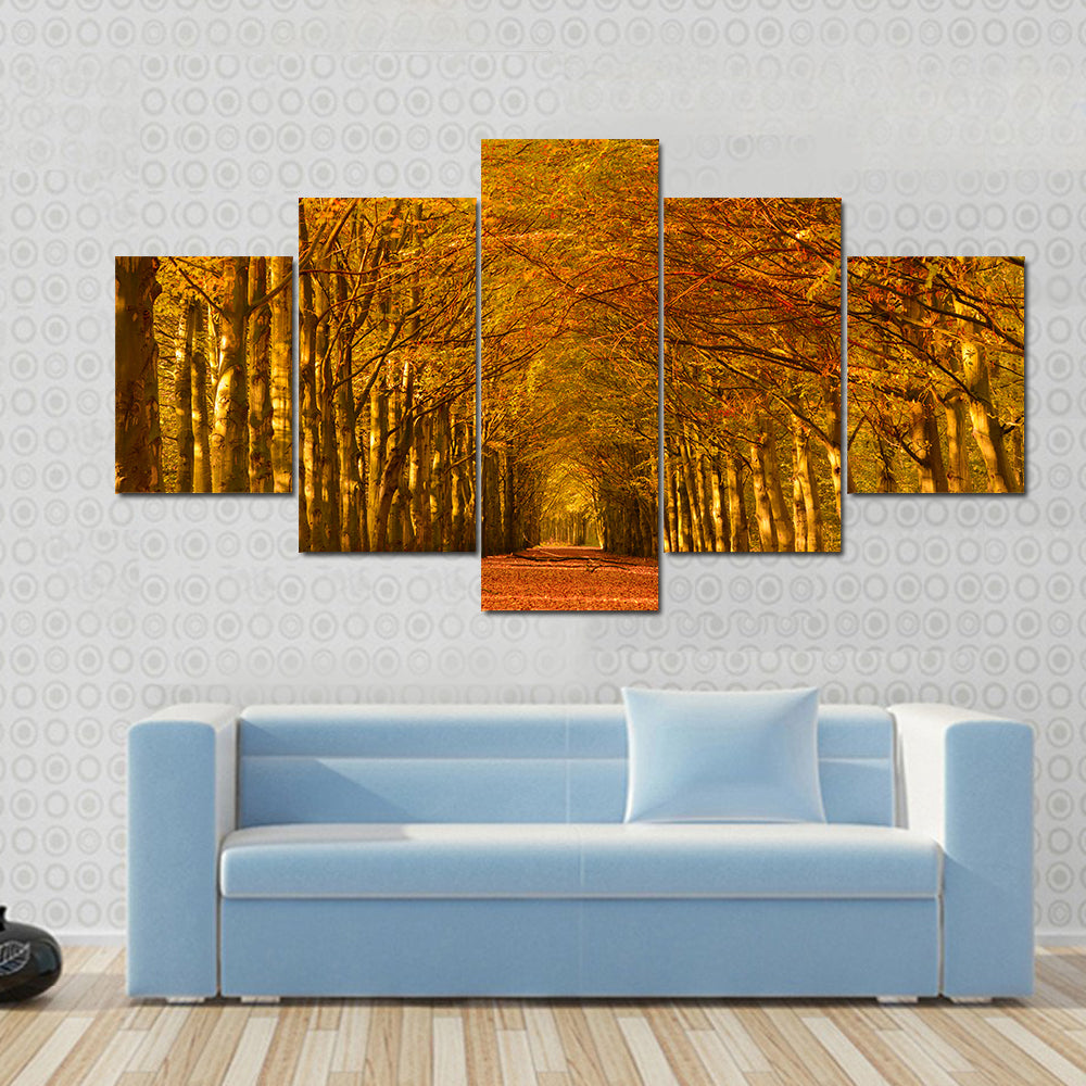 Autumn Forest Lane Canvas Wall Art
