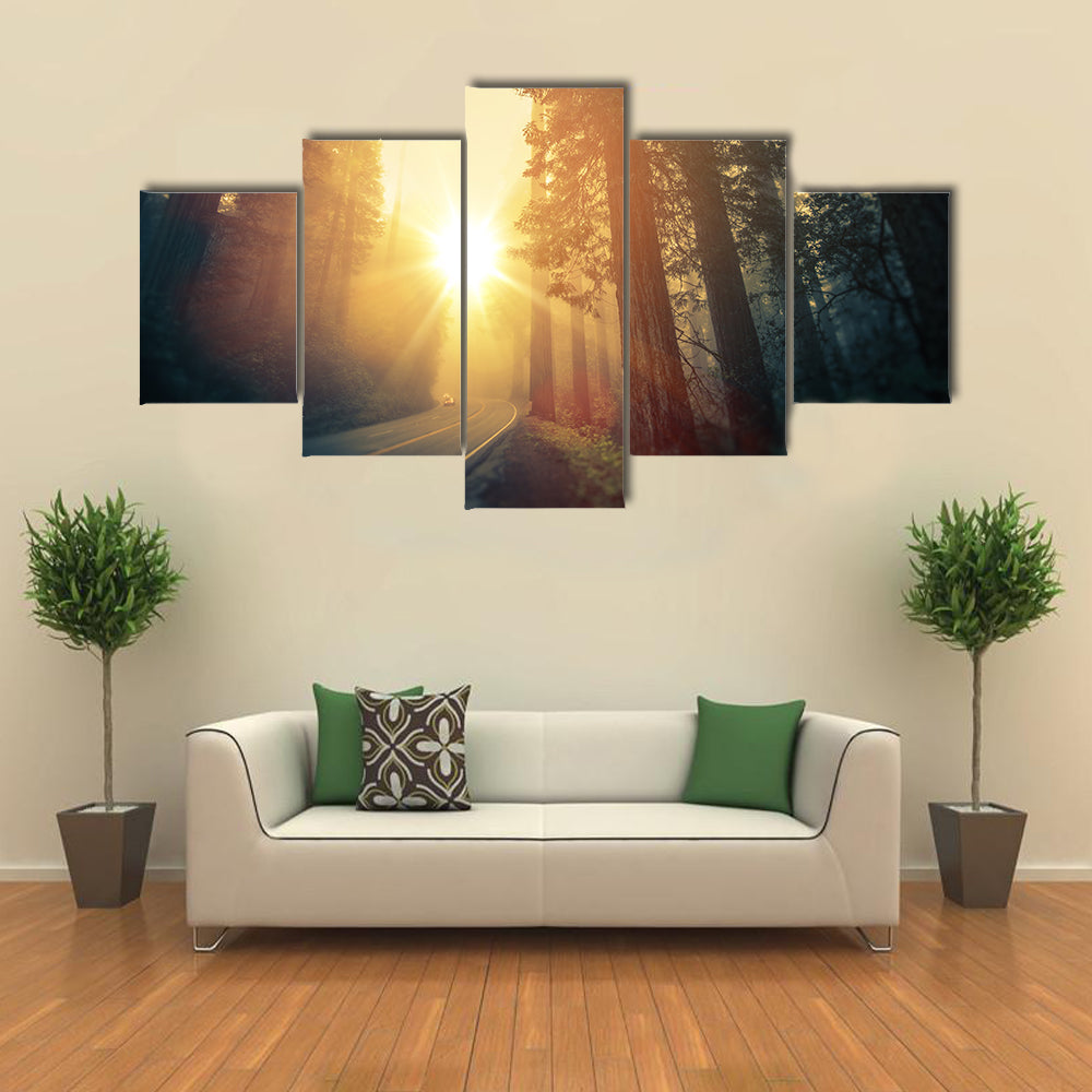 Foggy Redwood Forest Road Canvas Wall Art