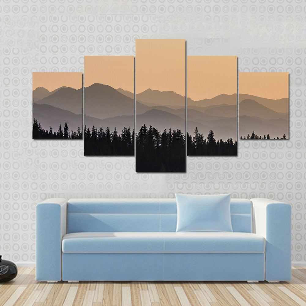 Early Morning Mist On Forest Mountain Canvas Wall Art