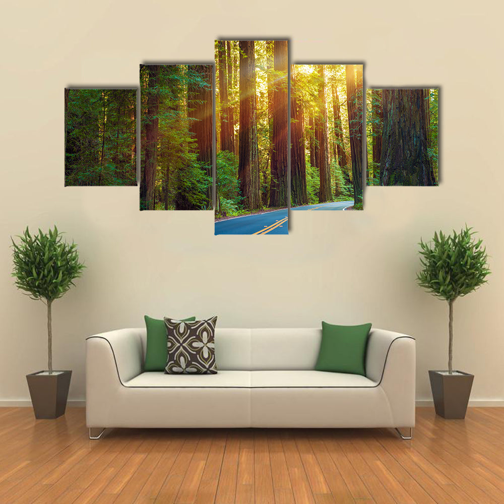 Redwood Highway In Northern California Canvas Wall Art